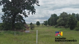 Dom Wolnostojący w miejscowości Zwierzyn